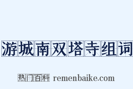 游城南双塔寺组词是什么意思的图片